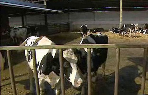  - Los jóvenes vuelven al campo