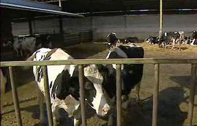 Termina en Sevilla el Congreso Europeo de Jóvenes Agricultores 