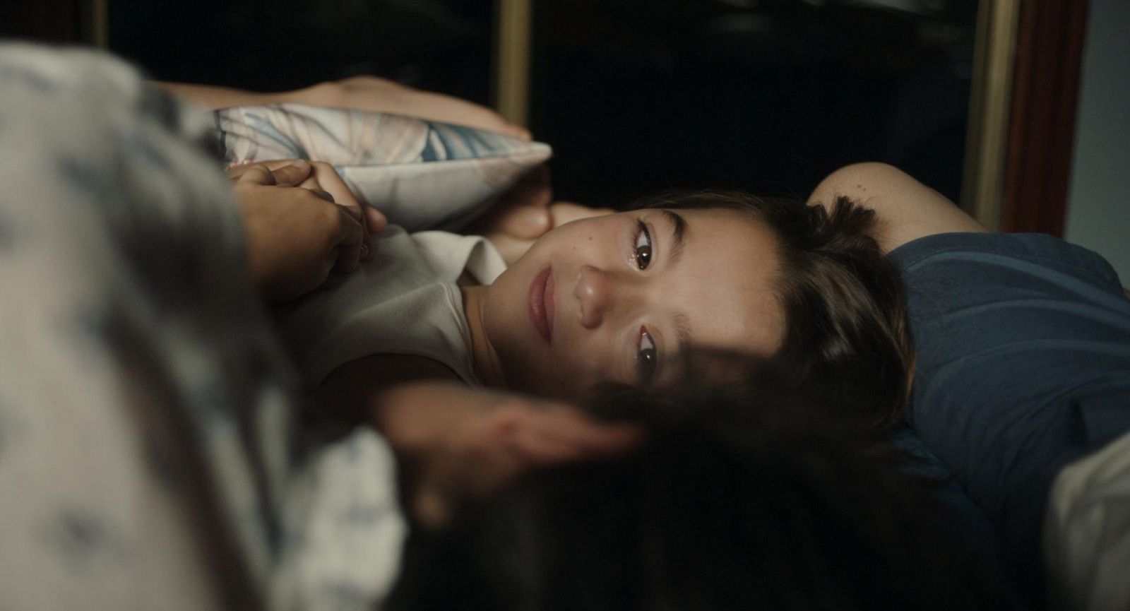 Días de Cine: 20.000 especies de abejas. | Ver