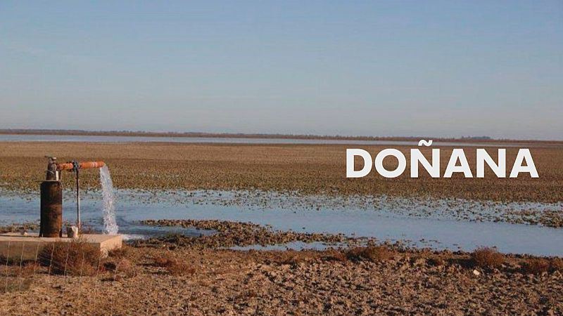 Doñana centra la polémica política - Ver ahora