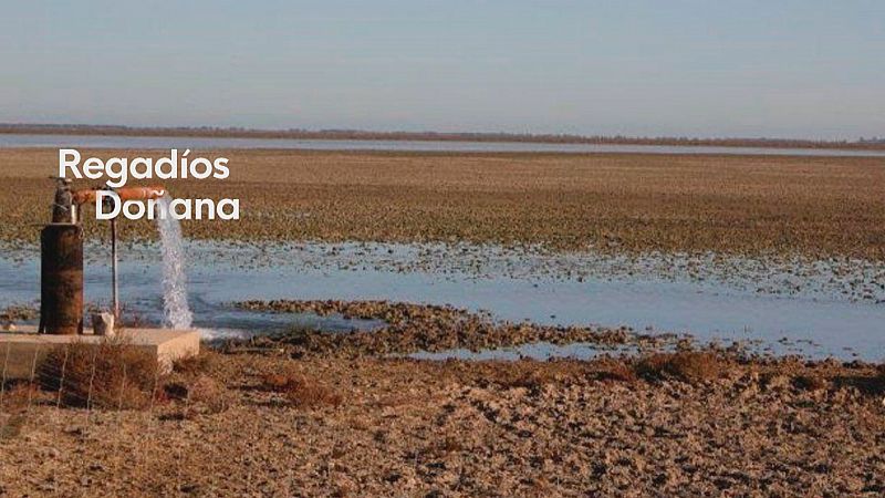 Plan de regadío Doñana - Ver ahora
