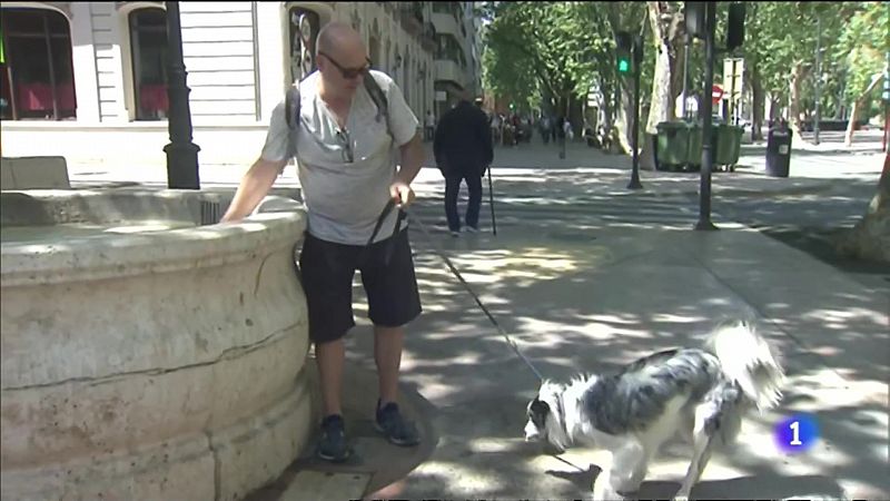 L'Informatiu de la Comunitat Valenciana 2 - 21/04/23 ver ahora