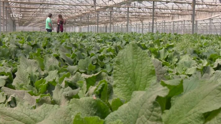 Aquí la Tierra - Aquí la Tierra - 21/04/23