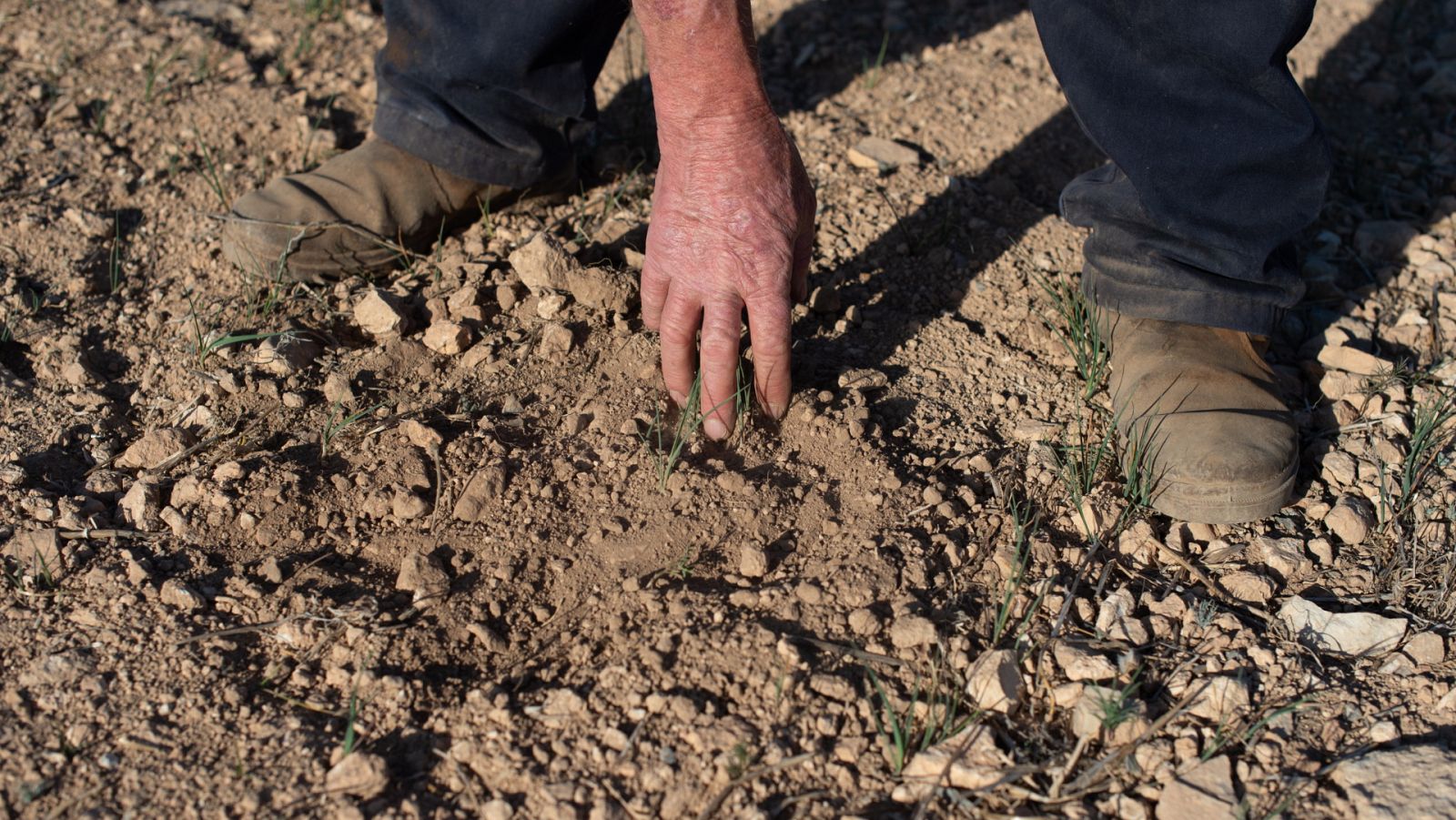 Telediario - 21 horas - 21/04/23 - Lengua de signos - ver ahora
