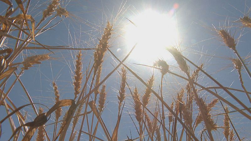 Agrosfera - 22/04/23 - ver ahora