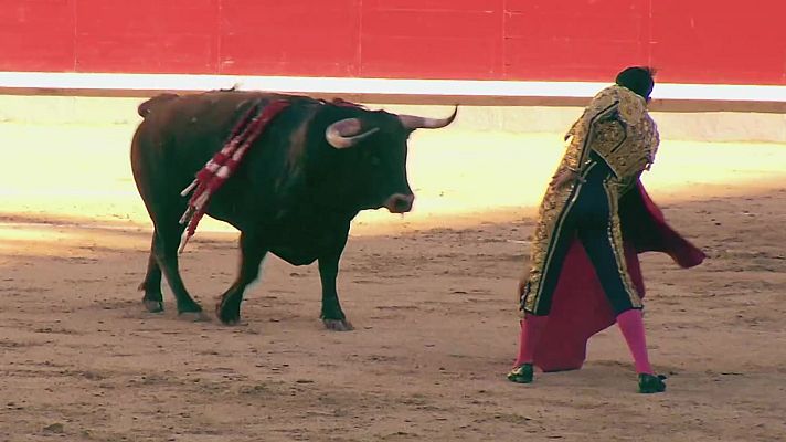 Tendido cero - Tendido cero - 22/04/23