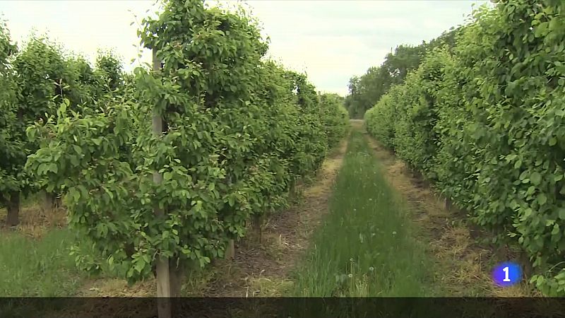 Primeres pluges en gairebé 2 mesos