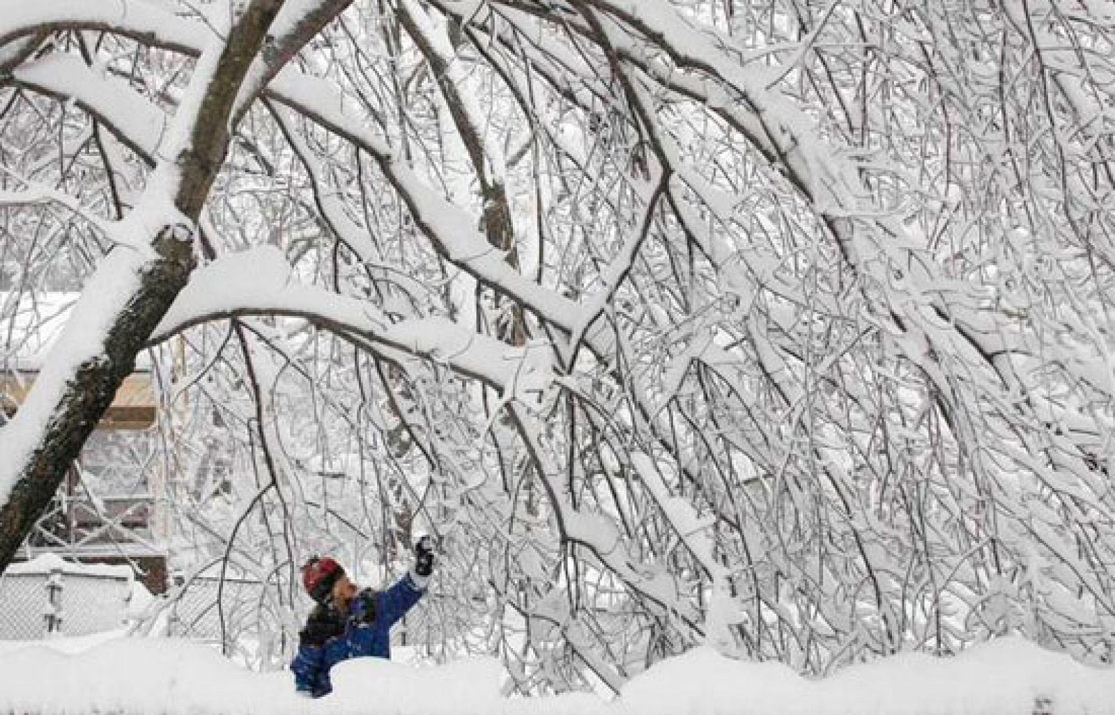 Washington, paralizada por una tormenta de nieve en la que han muerto dos personas
