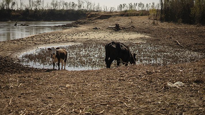 Telediario Fin de Semana - El campo argentino muere de sed como consecuencia de la peor sequía en años