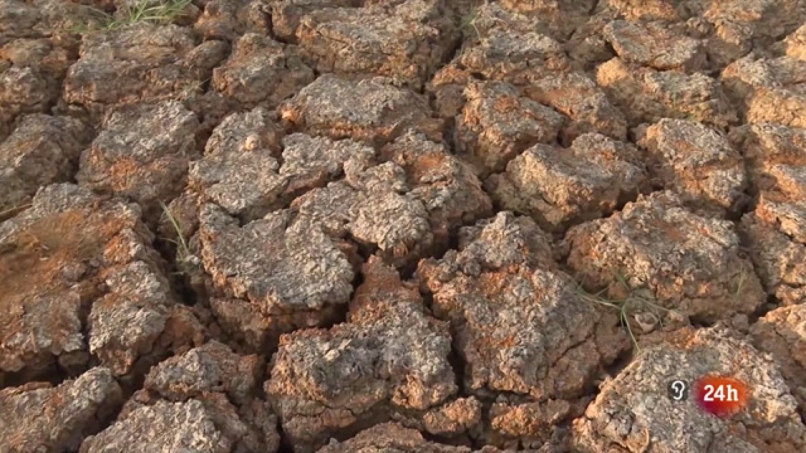 Telediario Internacional - 22/04/23 - ver ahora