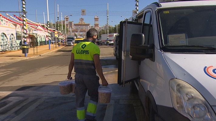 Seguridad alimentaria en la Feria