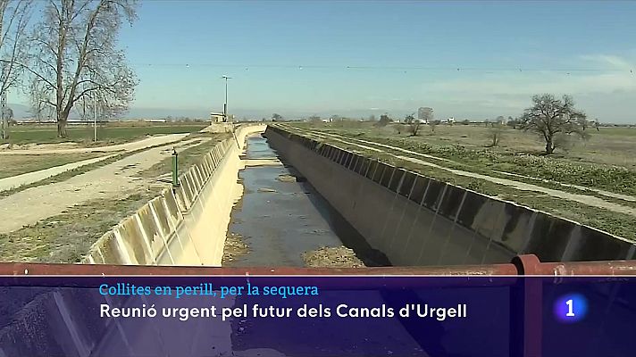 L'Informatiu - La taula agrària es reuneix per abordar les conseqüències de la sequera