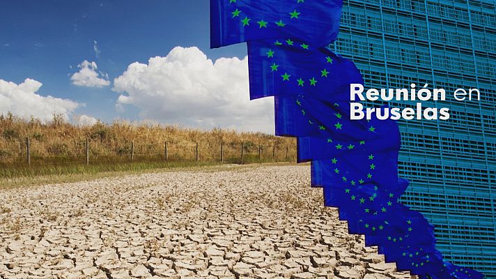 Reunión en Europa sobre Doñana