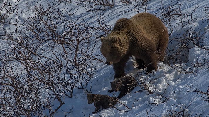 El mar salvaje de Rusia - Solo los más fuertes