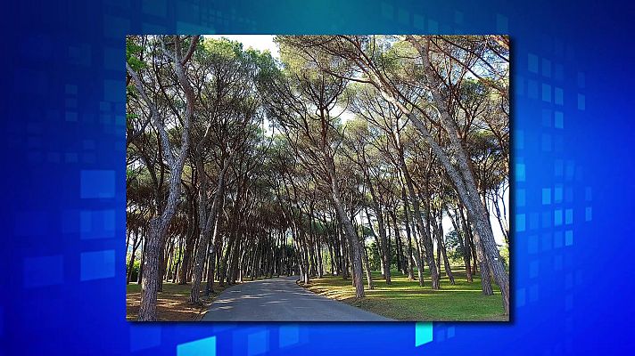 Saber y ganar - Saber y ganar. Edición de fin de semana - 29/04/23