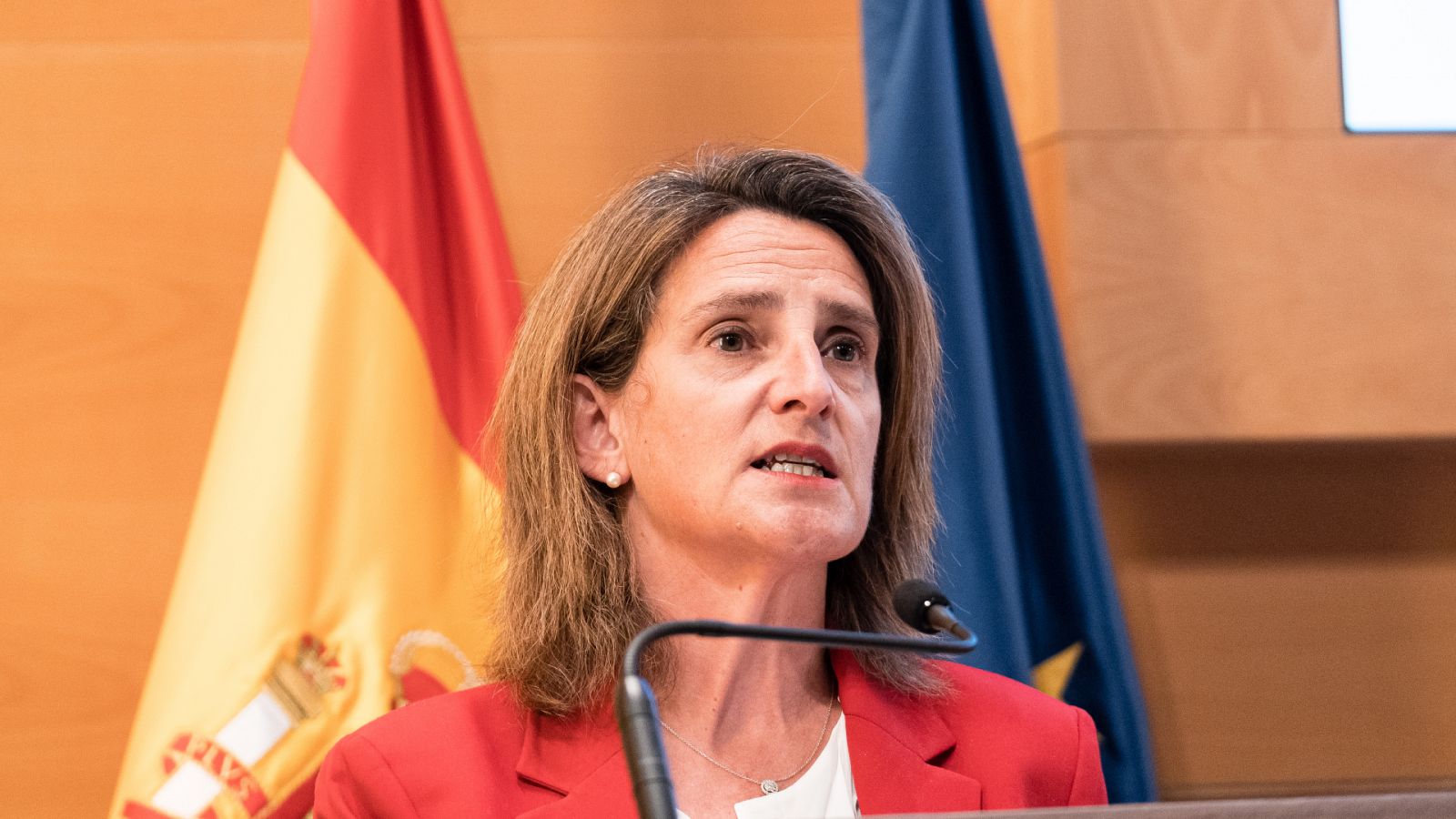 Teresa Ribera: "Confío en que se retire la ley de Doñana"