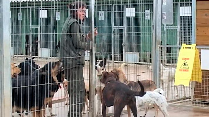 Granangular.cat - Animals spam