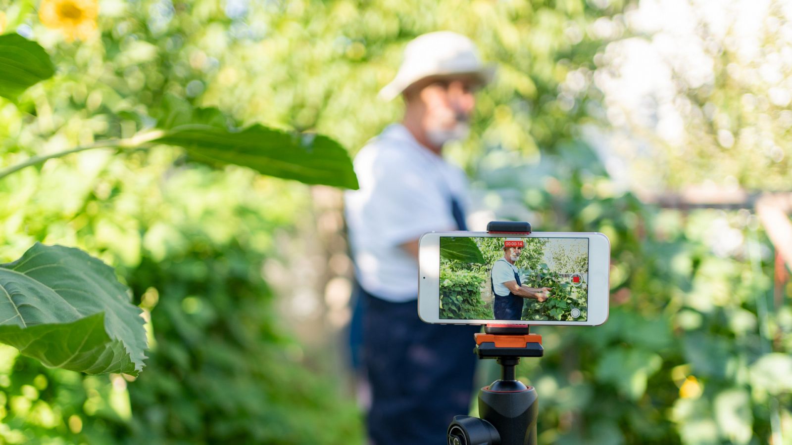 La Huerta del Cura: un agricultor youtuber