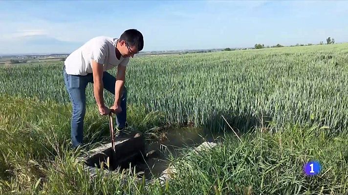 L'Informatiu - L'Informatiu - 25/04/2023