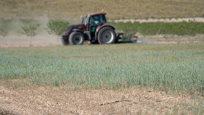 El Gobierno rebaja un 25% el IRPF para 800.000 agricultores y ganaderos por la sequía