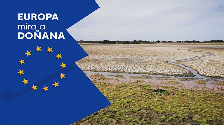 Doñana en el foco político