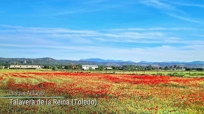 El tiempo - En el entorno de Pirineos, cielos nubosos y precipitaciones débiles, debido a la proximidad de un frente atlántico, tendiendo a remitir