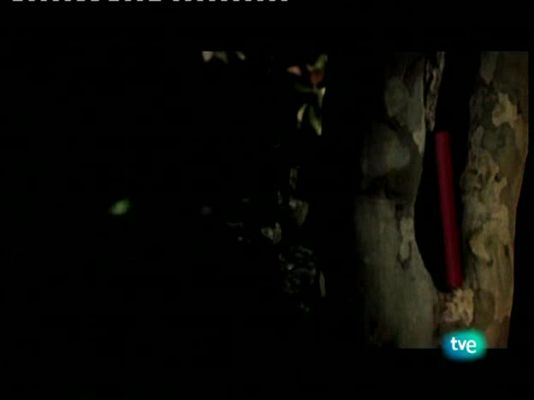 Página Dos - Per Petterson.