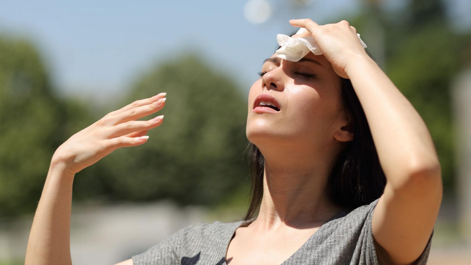 ¿Cómo reaccionamos al calor?