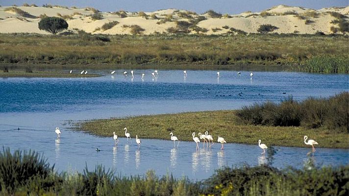 Bruselas defiende que su rol en Doñana es "estrictamente institucional" tras las quejas del Partido Popular Europeo