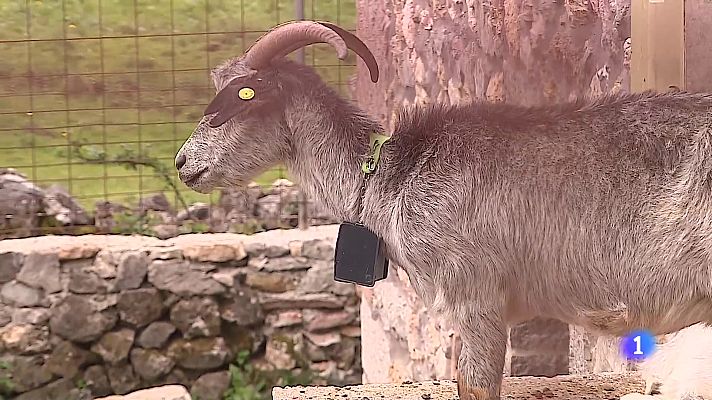 Panorama Regional - Asturias en 2' - 27/04/23