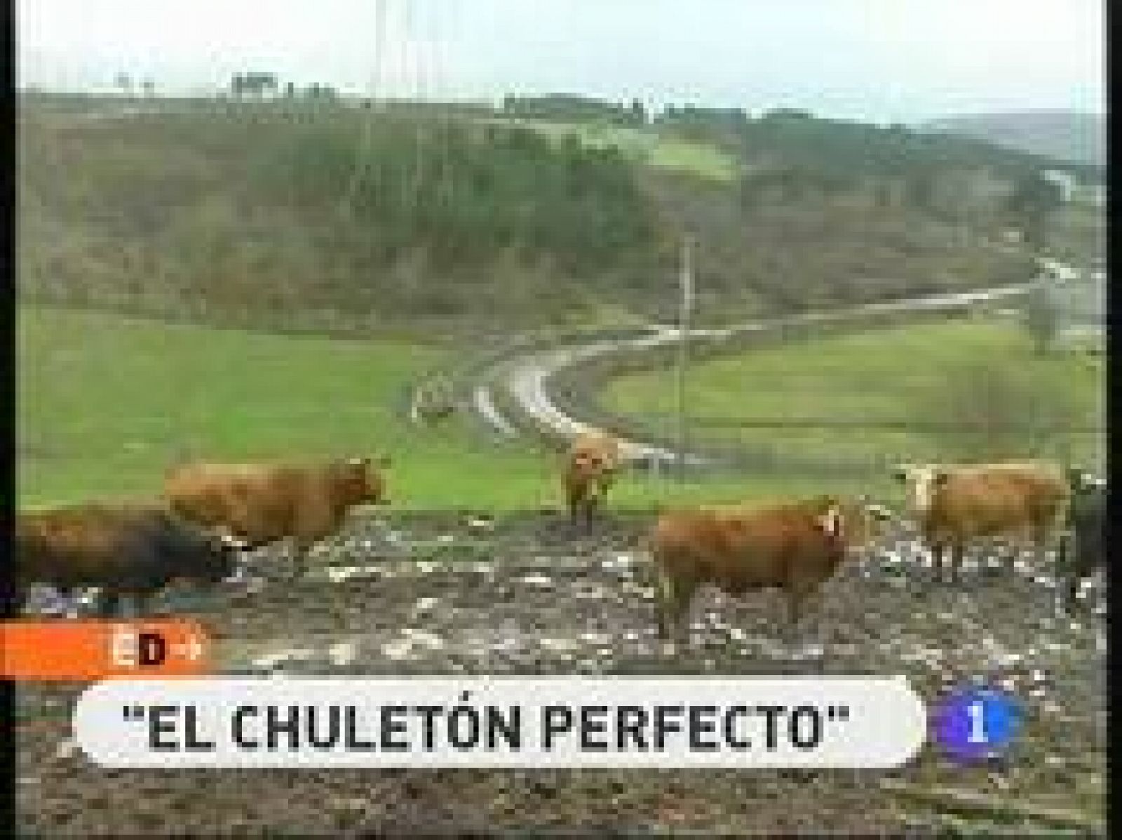España Directo - El chuletón perfecto | Ver