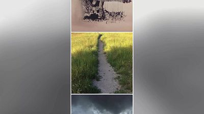 Dibujo, cine, pizzas y ChatGPT 