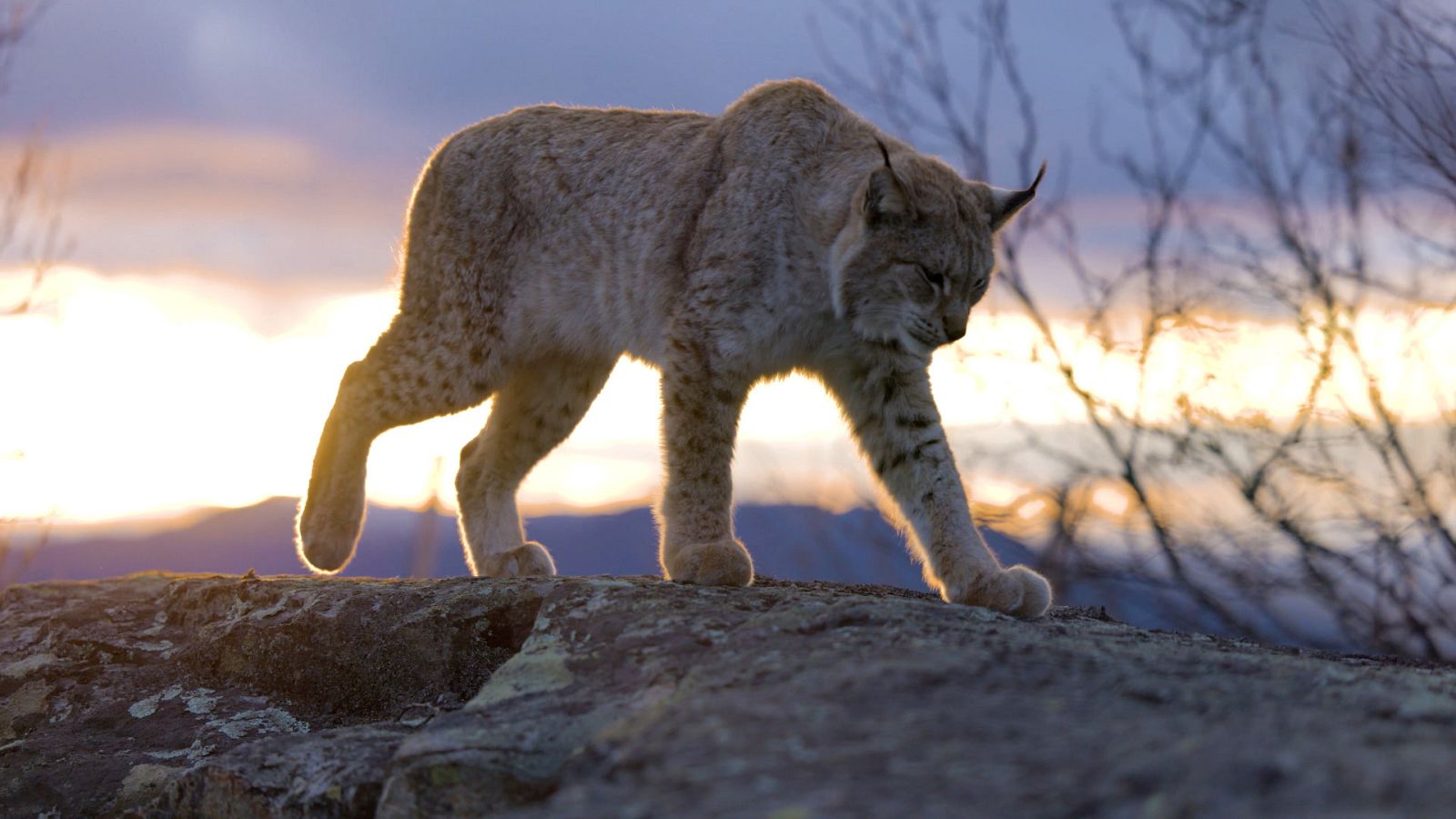 Somos documentales - Los reinos del sol - ver ahora