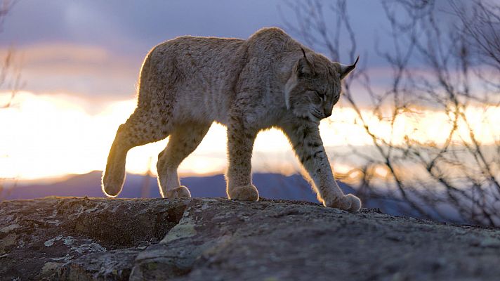 Somos Documentales - Los reinos del sol