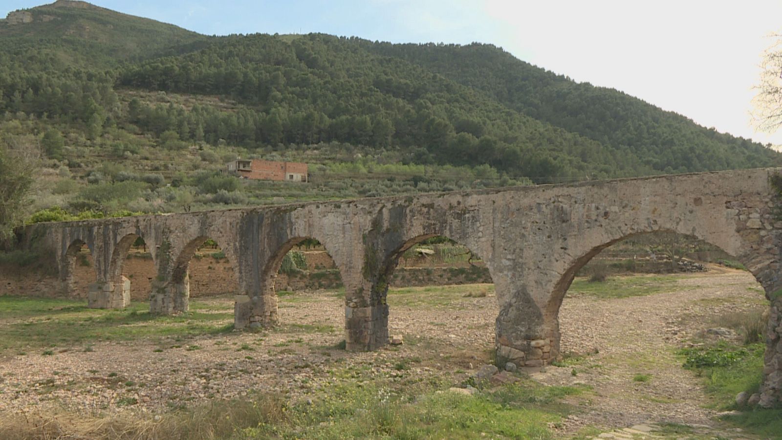 Agrosfera - 29/04/23 - ver ahora