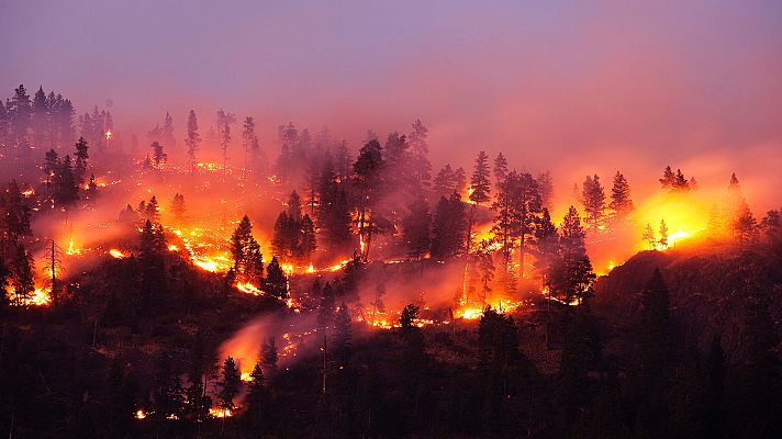 ¿Por qué arde el bosque asturiano?