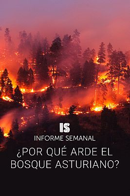 ¿Por qué arde el bosque asturiano?