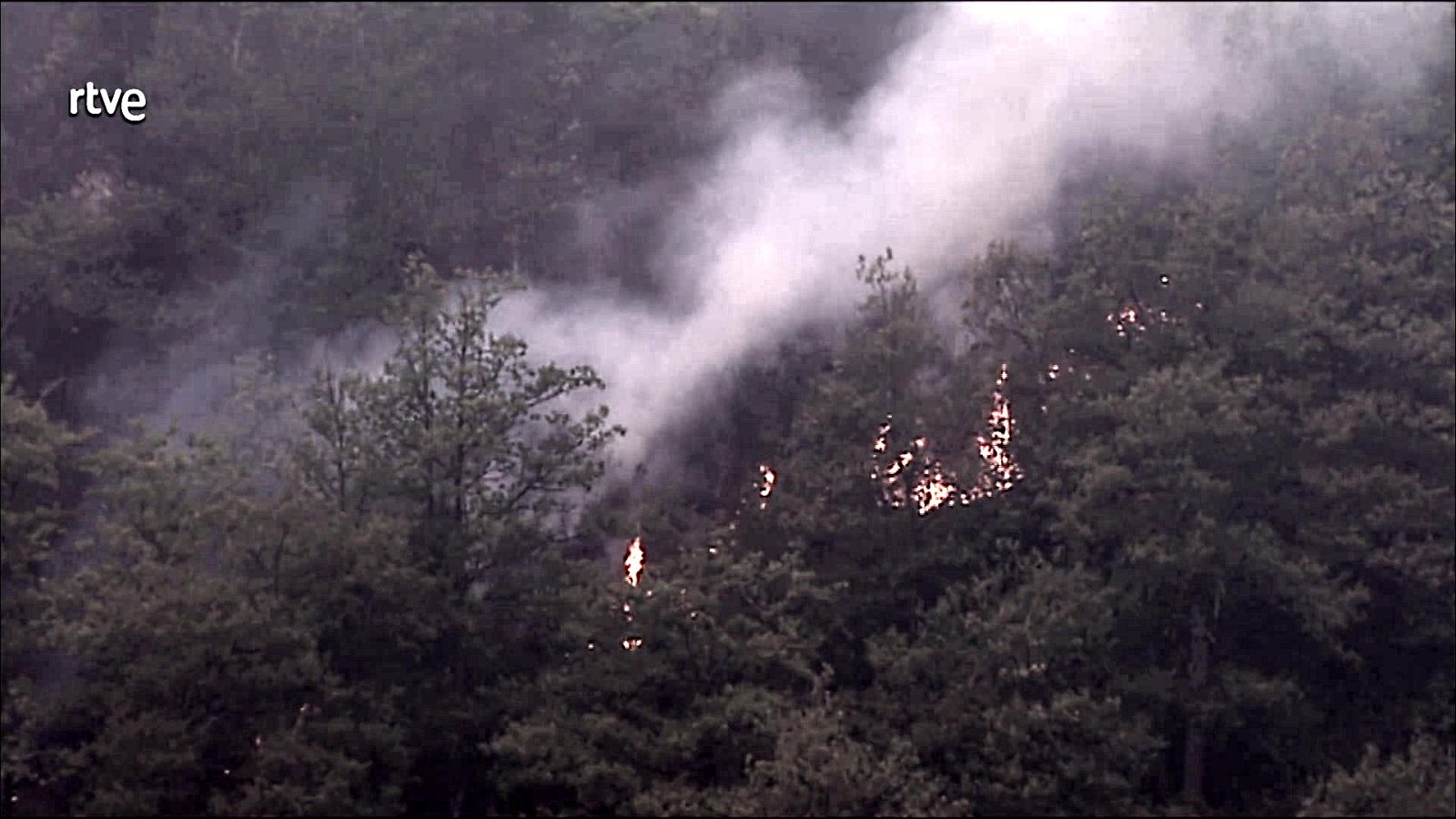 Informe Semanal - 29/04/23  - ver ahora