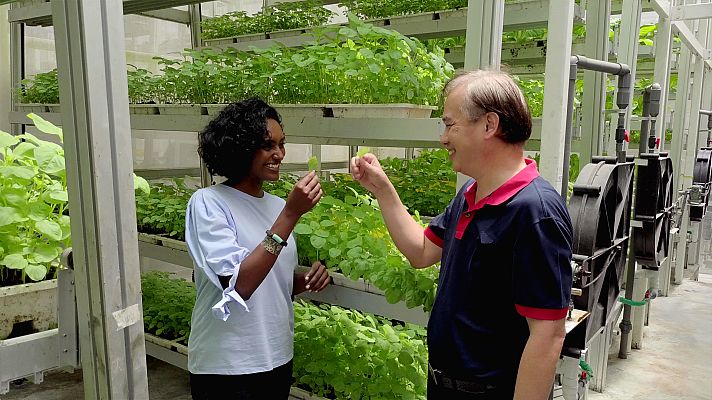 Naturaleza comestible - Verduras de cosecha propia