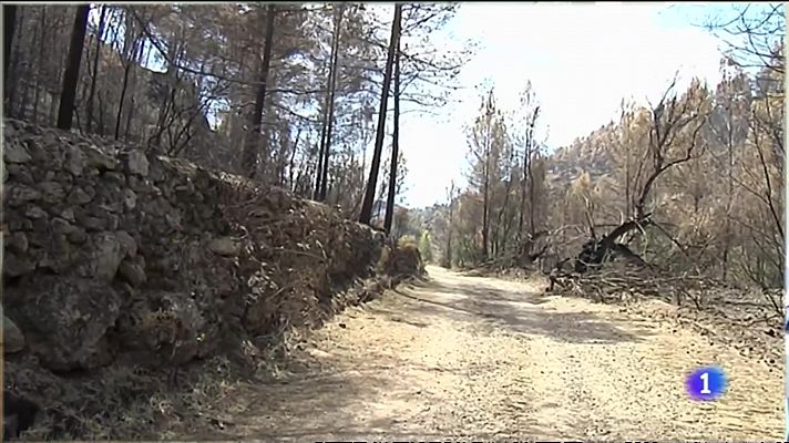 L'informatiu - Comunitat Valenciana - El riesgo de incendio sigue siendo muy elevado en la Comunitat Valenciana