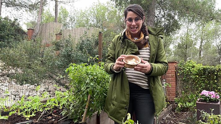 Va de verd - Un fertilitzant amb closques d'ou