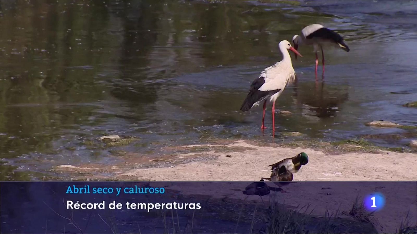 Informativo Telerioja 2 - 02/05/23 - RTVE.es