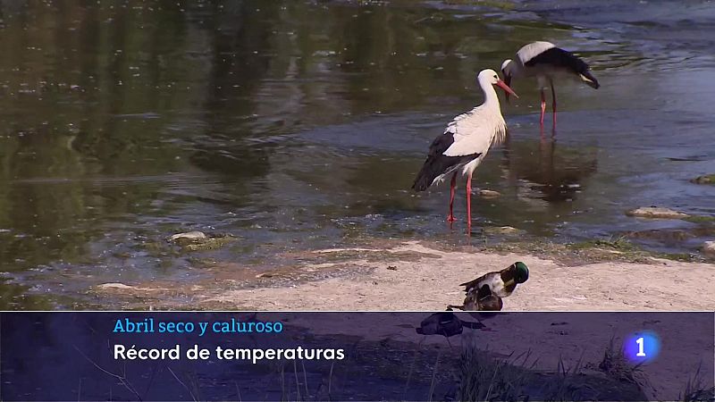 Informativo Telerioja 2 - 02/05/23 - Ver ahora