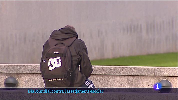 Informatiu Balear - Dia Mundial contra l'assetjament escolar