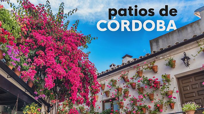 Noticias Andalucía - Abren los patios de Córdoba