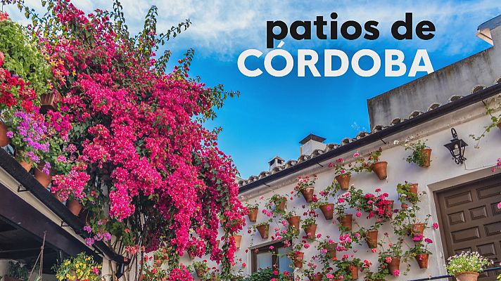 Abren los patios de Córdoba