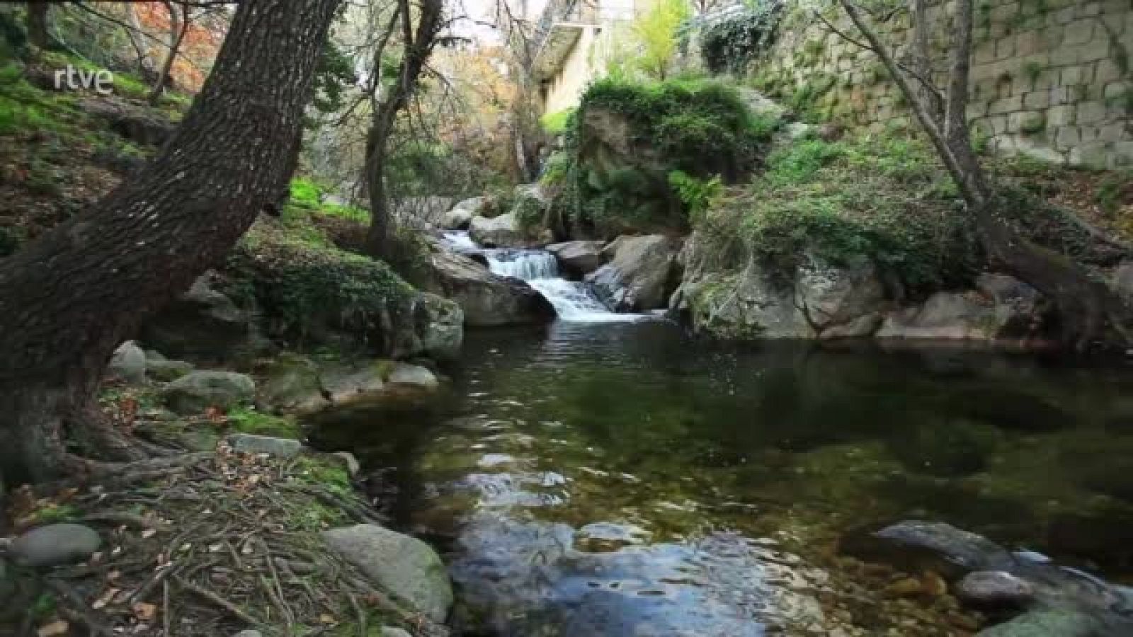 Destino Saludable: Piedralaves, su historia y gastronomía