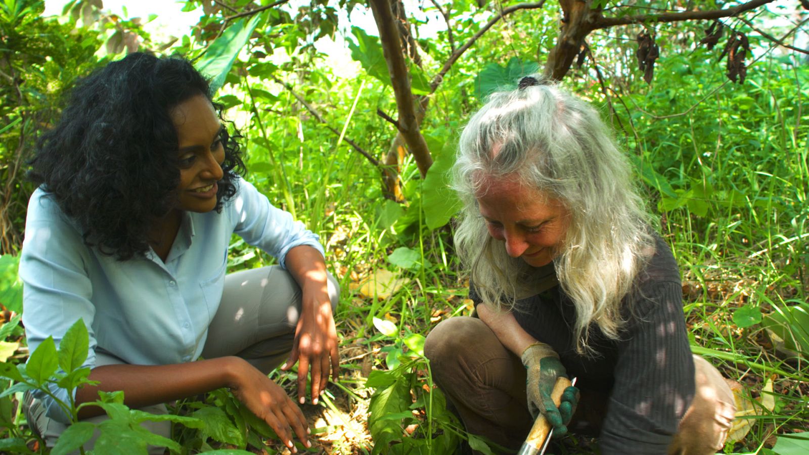 Naturaleza comestible - Episodio 4: Taipéi - ver ahora