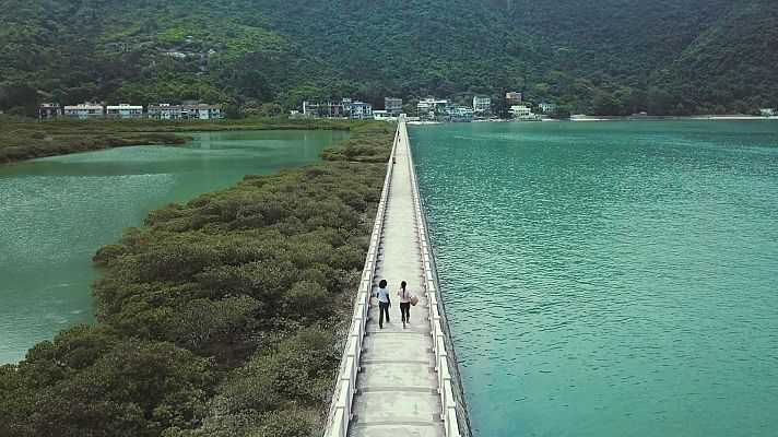 Naturaleza comestible - Hong Kong