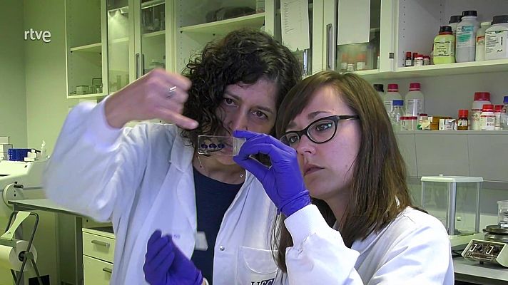 La aventura del Saber - ¿Nacen nuevas neuronas en el cerebro adulto?